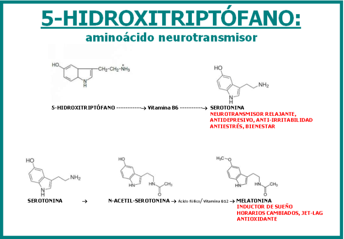 Neurotransmisores: 5-Hidroxitriptófano, te devuelve el buen humor.